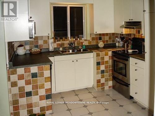 45 Vinci Crescent, Toronto, ON - Indoor Photo Showing Kitchen With Double Sink