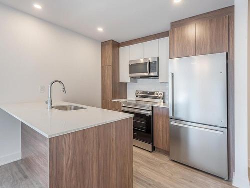 Kitchen - 406-65 Rue William-Macdonald, Montréal (Lachine), QC - Indoor Photo Showing Kitchen