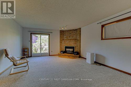 243 Walmer Grove, London, ON - Indoor With Fireplace