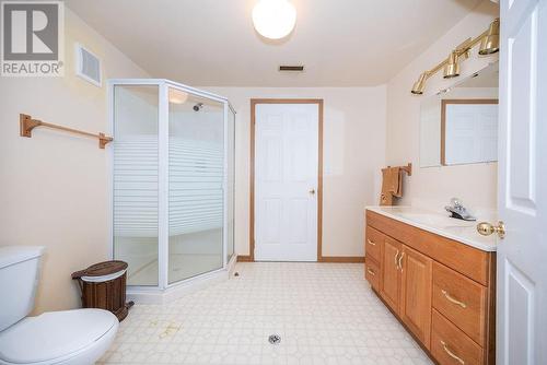 Bathroom in lower level - 224 Thomas Street, Deep River, ON - Indoor Photo Showing Bathroom