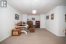 Rec room in lower level - 