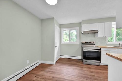 86 West 4Th Street, Hamilton, ON - Indoor Photo Showing Kitchen With Double Sink