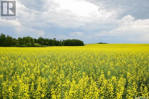 Vandale Rd Acreage, Aberdeen Rm No. 373, SK - Outdoor With View