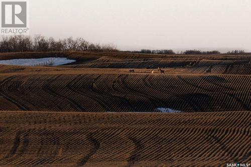 Vandale Rd Acreage, Aberdeen Rm No. 373, SK - Outdoor With View