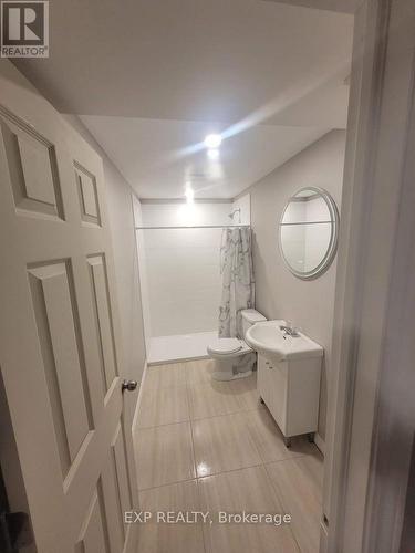 Lower - 72 Ingleside Drive, Kitchener, ON - Indoor Photo Showing Bathroom