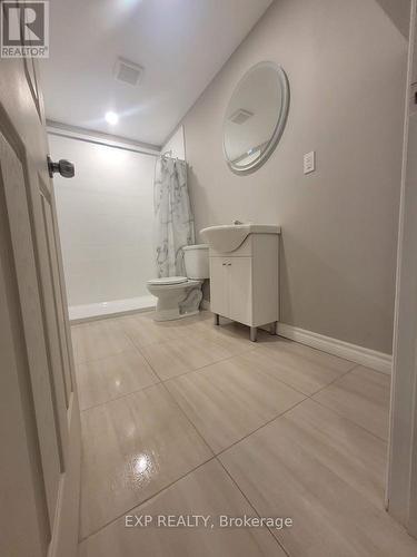 Lower - 72 Ingleside Drive, Kitchener, ON - Indoor Photo Showing Bathroom
