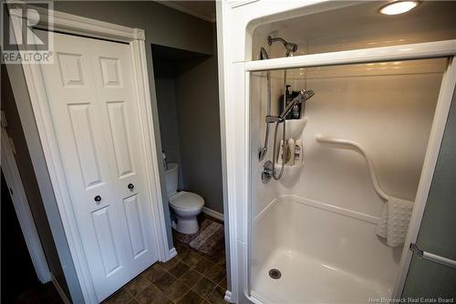 333 St-Jean, Saint-Léonard, NB - Indoor Photo Showing Bathroom