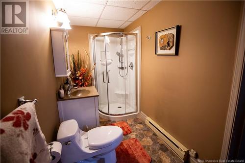 333 St-Jean, Saint-Léonard, NB - Indoor Photo Showing Bathroom