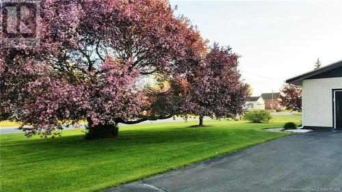 333 St-Jean, Saint-Léonard, NB - Outdoor