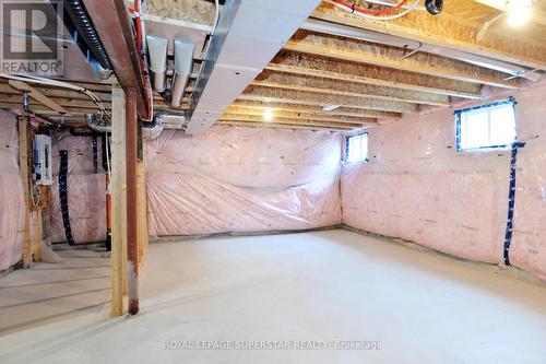 56 Pointer Street, Cambridge, ON - Indoor Photo Showing Basement