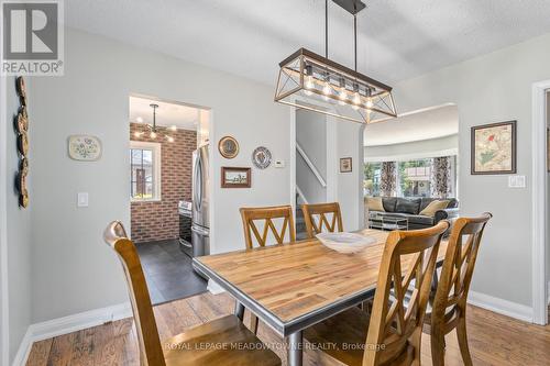 284 Maple Avenue N, Halton Hills, ON - Indoor Photo Showing Dining Room