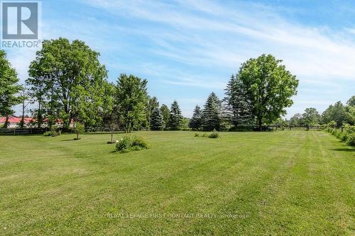 7765 5Th Line, Essa, ON - Outdoor With View