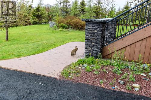 104 Summit Drive, Paradise, NL - Outdoor