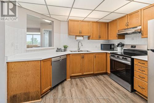 608 - 20 Mcfarlane Drive, Halton Hills, ON - Indoor Photo Showing Kitchen With Double Sink