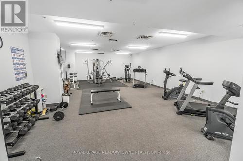 608 - 20 Mcfarlane Drive, Halton Hills, ON - Indoor Photo Showing Gym Room