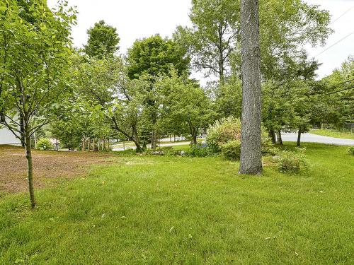 Land/Lot - 3325 Rue Des Luminaires, Sainte-Adèle, QC - Outdoor