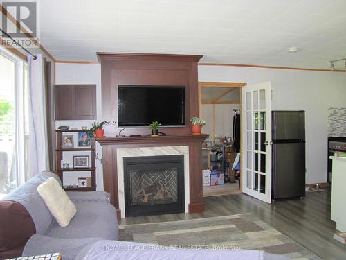 203 Crosby Drive, Kawartha Lakes, ON - Indoor Photo Showing Living Room With Fireplace