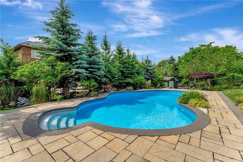 55 Elodia Court, Hamilton, ON - Outdoor With In Ground Pool With Deck Patio Veranda With Backyard