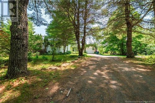 97 Olinville Road, Central Greenwich, NB - Outdoor