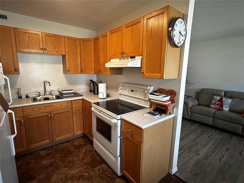 434 8Th Street, Brandon, MB - Indoor Photo Showing Kitchen With Double Sink