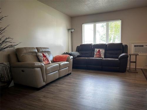 434 8Th Street, Brandon, MB - Indoor Photo Showing Living Room