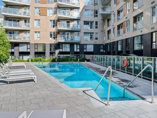 Pool - 1216 Rue William, Montréal (Le Sud-Ouest), QC - Outdoor With In Ground Pool With Facade