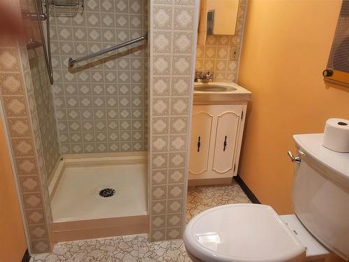 80 Gertrude Avenue, Thunder Bay, ON - Indoor Photo Showing Bathroom