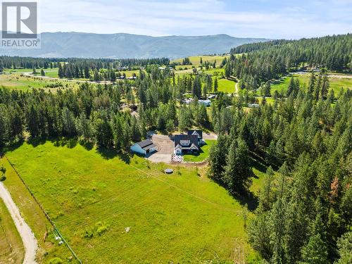 4848 Salmon River Road, Armstrong, BC - Outdoor With View