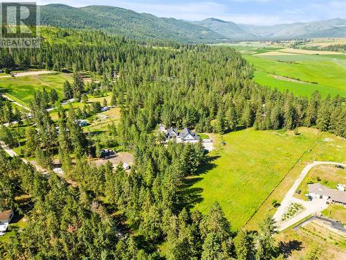 4848 Salmon River Road, Armstrong, BC - Outdoor With View