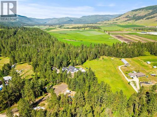 4848 Salmon River Road, Armstrong, BC - Outdoor With View