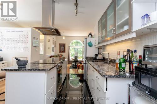 113 Wharncliffe Road N, London, ON - Indoor Photo Showing Kitchen