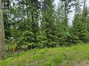 Lot 86 Anglemont Way, Anglemont, BC 