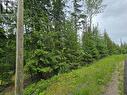 Lot 86 Anglemont Way, Anglemont, BC 