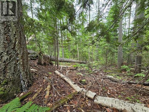 Lot 86 Anglemont Way, Anglemont, BC 