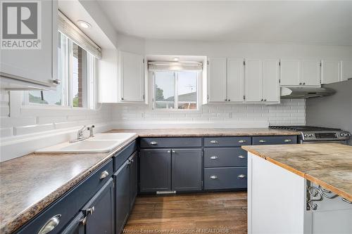 2972 Grandview Street Unit# Upper, Windsor, ON - Indoor Photo Showing Kitchen With Double Sink