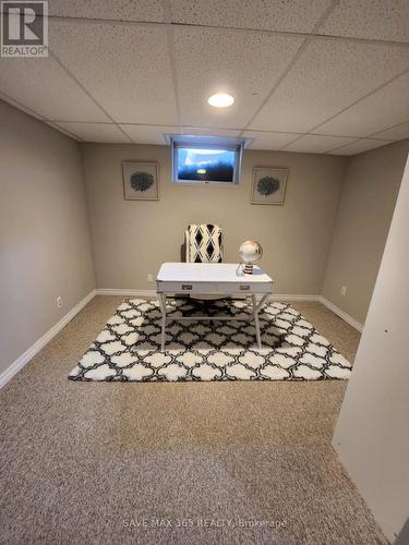 46 Radcliffe Crescent, London, ON - Indoor Photo Showing Basement