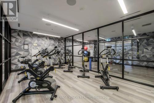 419 - 55 Merchant'S Wharf, Toronto, ON - Indoor Photo Showing Gym Room