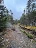 Lot 31 Prison Camp Road, Tommy Penney 7Th Pond, Salmonier Line, NL 