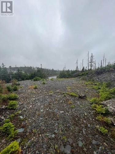 Lot 31 Prison Camp Road, Tommy Penney 7Th Pond, Salmonier Line, NL 