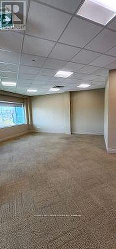 10 - 30 Topflight Drive, Mississauga (Gateway), ON 