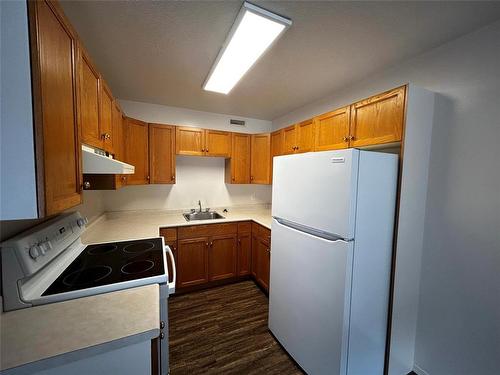 442 8Th Street, Brandon, MB - Indoor Photo Showing Kitchen