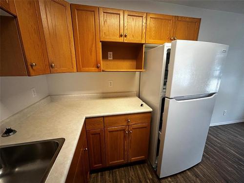 442 8Th Street, Brandon, MB - Indoor Photo Showing Kitchen