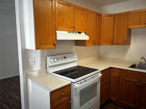 442 8Th Street, Brandon, MB - Indoor Photo Showing Kitchen