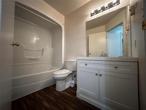 442 8Th Street, Brandon, MB - Indoor Photo Showing Bathroom