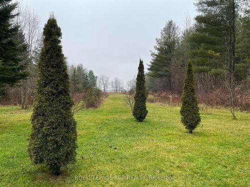 919 Guelph Rd, Centre Wellington, ON - Outdoor With View