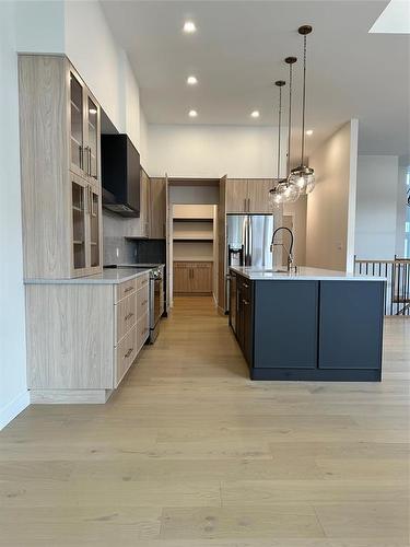 278 Glenbush Street, Winnipeg, MB - Indoor Photo Showing Kitchen With Upgraded Kitchen