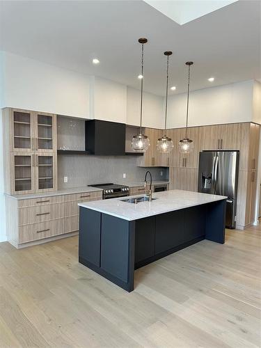 278 Glenbush Street, Winnipeg, MB - Indoor Photo Showing Kitchen With Upgraded Kitchen