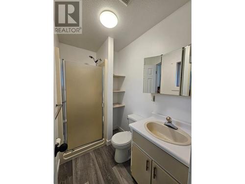 219 Cottonwood Crescent, Tumbler Ridge, BC - Indoor Photo Showing Bathroom