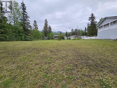 219 Cottonwood Crescent, Tumbler Ridge, BC - Outdoor