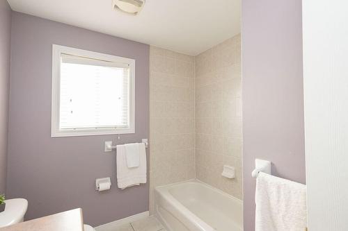 50 Phillipo Drive, Hamilton, ON - Indoor Photo Showing Bathroom